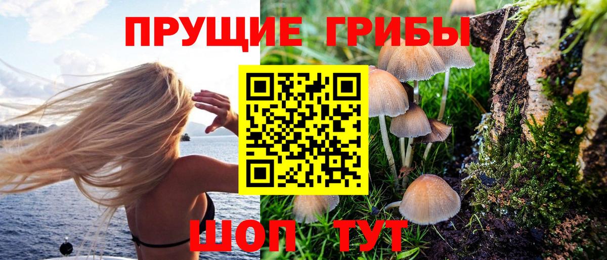 Псилоцибиновые грибы MAGIC MUSHROOMS  Псилоцибиновые грибы Psilocybe  Альметьевск  Вход с VPN 